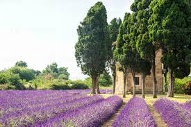 Patchwork, ne Prise Verrücktheit und ganz viel Lavendel